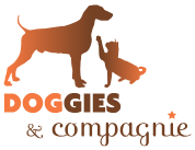 blog.doggiesetcompagnie.com
